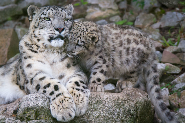 La dystopie n&rsquo;est plus une&nbsp;fiction